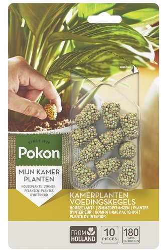 Pokon Kamerplanten Voedingskegels 10 stuks - afbeelding 1