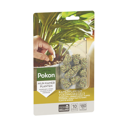 Pokon Kamerplanten Voedingskegels 10st - afbeelding 1