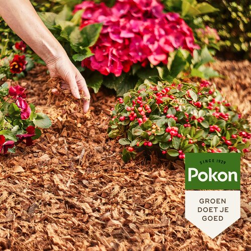 Pokon Kokos Bodembedekker - 50L - afbeelding 3