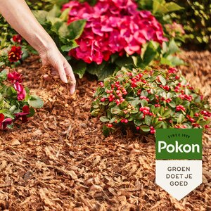 Pokon Kokos Bodembedekker - 50L - afbeelding 3