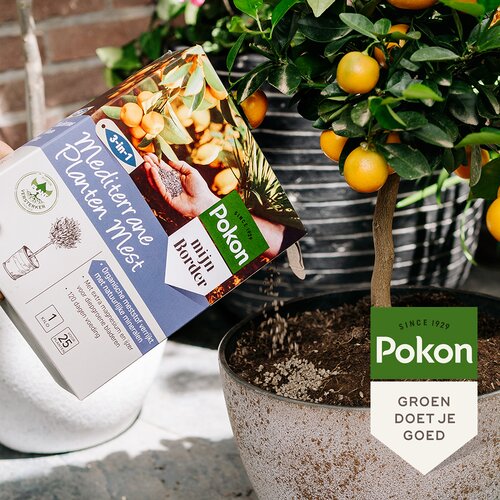 Pokon Mediterrane Planten Mest 1kg - afbeelding 4