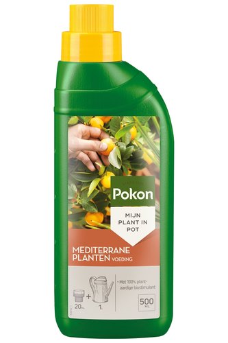 Pokon Mediterrane Planten Voeding 500ml - afbeelding 1