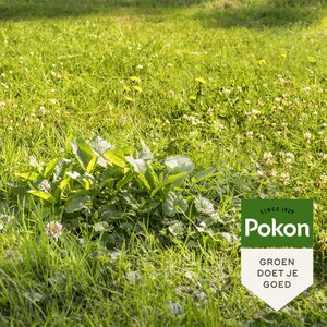 Pokon Onkruid Weg! 1,6kg voor 80mВ - afbeelding 4