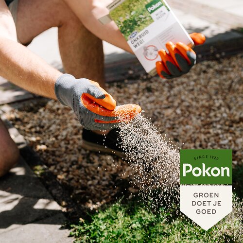Pokon Onkruid Weg! 2,4kg voor 120mВ - afbeelding 5