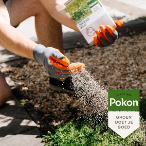 Pokon Onkruid Weg! 800gr voor 40mВ - afbeelding 5