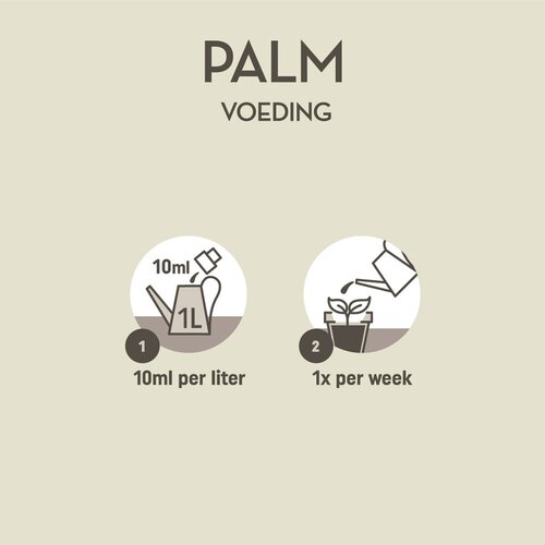 Pokon Palm Voeding 250ml OP=OP - afbeelding 4