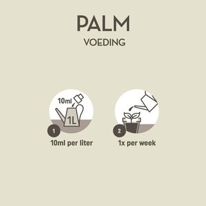 Pokon Palm Voeding 250ml OP=OP - afbeelding 4