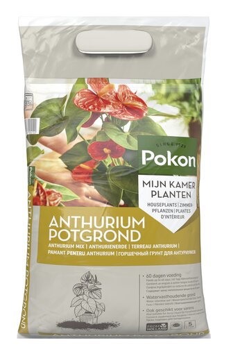 Pokon Potgrond Anthurium - 5L  - afbeelding 1