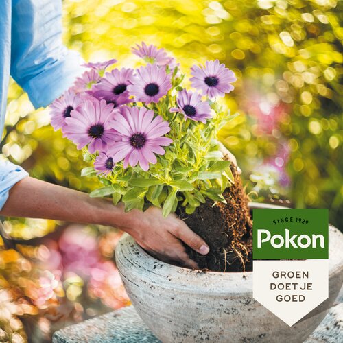Pokon Potgrond Langwerkend - 10 liter - afbeelding 4