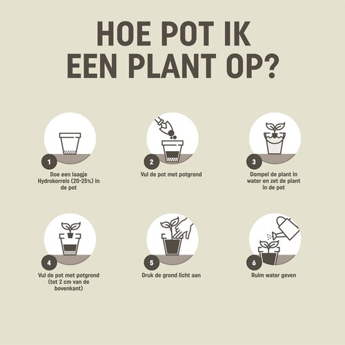 Pokon Potgrond Langwerkend - 10 liter - afbeelding 5
