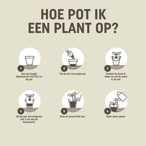Pokon Potgrond Langwerkend - 10 liter - afbeelding 5