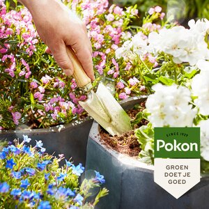 Pokon Potgrond Terras & Balkon Planten 40L - afbeelding 5