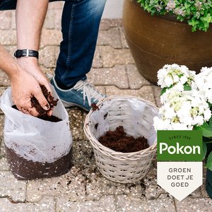 Pokon Kokos Potgrond Terras & Balkon Compact 20L - afbeelding 4