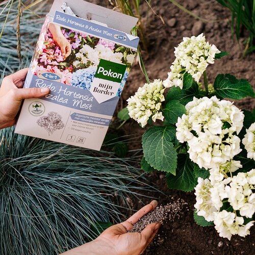 Pokon Rhododendron, Hortensia & Azalea Mest 1kg - afbeelding 3