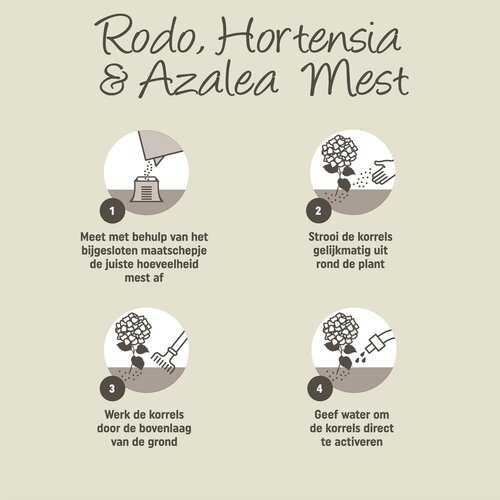 Pokon Rhododendron, Hortensia & Azalea Mest - 2,5kg - afbeelding 4