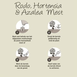 Pokon Rhododendron, Hortensia & Azalea Mest - 2,5kg - afbeelding 4