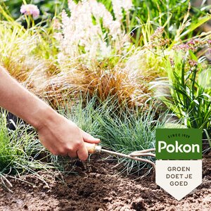 Pokon Siergrassen & Bamboe Mest - 1kg - afbeelding 4