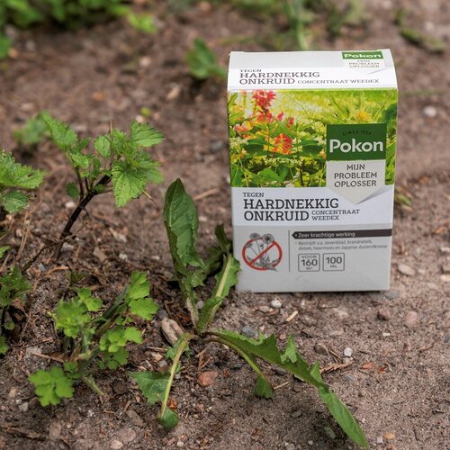 Pokon Tegen Hardnekkig Onkruid Concentraat Weedex - 100ml - afbeelding 3