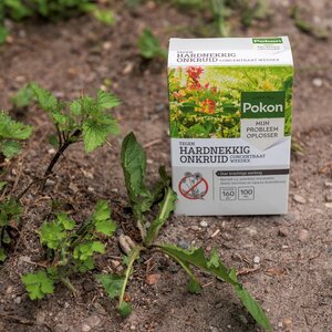 Pokon Tegen Hardnekkig Onkruid Concentraat Weedex - 100ml - afbeelding 3