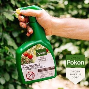 Pokon Tegen Hardnekkige Insecten Insect-Plus Kant en Klaar Spray 750ml - afbeelding 4