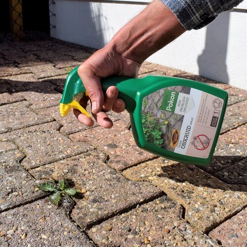 Pokon Tegen Onkruid Spray 1L - afbeelding 6