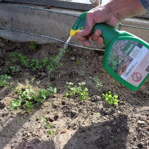 Pokon Tegen Onkruid Spray 1L - afbeelding 7