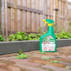 Pokon Tegen Onkruid Spray 1L - afbeelding 8