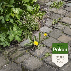 Pokon Tegen Onkruid Spray 3L - afbeelding 5