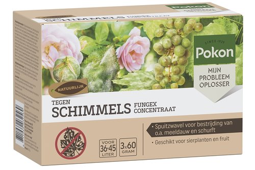 Pokon Tegen Schimmels Fungus Concentraat 180gr