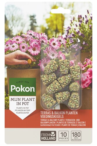 Pokon Terras & Balkon Planten Voedingskegels 10 stuks OP=OP - afbeelding 1