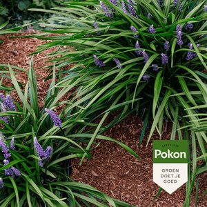 Pokon Waterproof Bodembedekker 45L - afbeelding 7