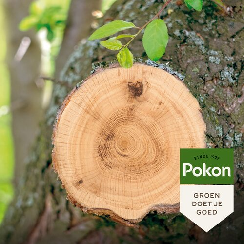Pokon Wondafdekmiddel 300gr - afbeelding 3