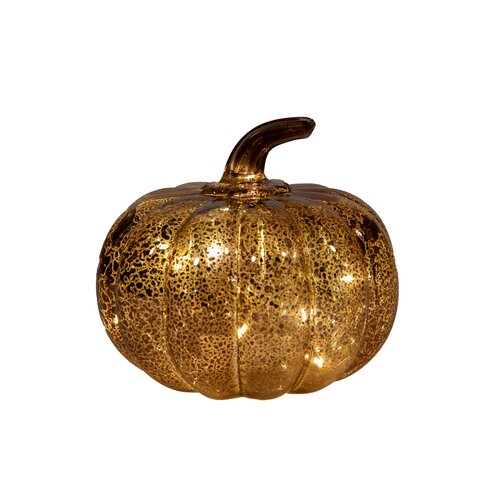 Pompoen glas 14x13cm bruin