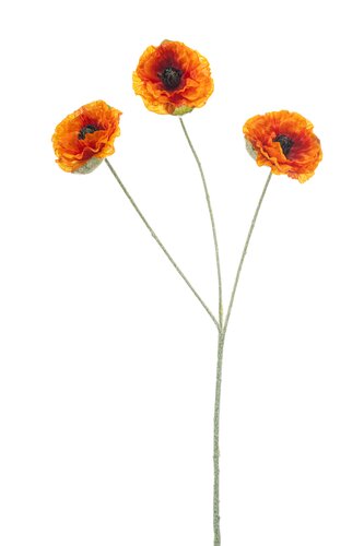 Poppy x3 orange 61cm
