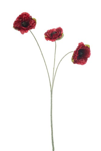 Poppy x3 red 61cm