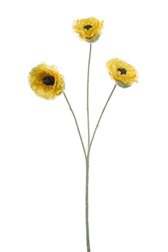 Poppy x3 yellow 61cm