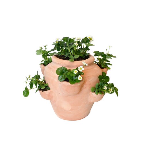 Pot aardbei natural terra - D 40 x H 35 cm