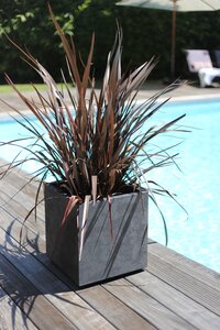Pot Basalt Vierkant - 39,5x39,5x43,5cm Antraciet - afbeelding 2