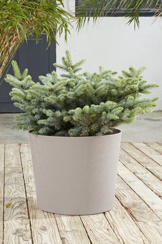 Pot Element Conical - D39,1xH32cm Kalksteen - afbeelding 3