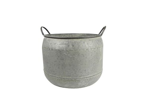 Pot Mason thyme D32 H23
