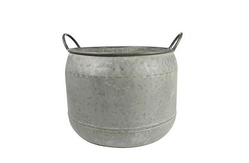 Pot Mason thyme D38 H25