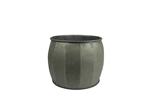 Pot Mikan thyme D30 H26