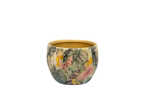 Pot Monstera mystera d9 h7 large - afbeelding 1