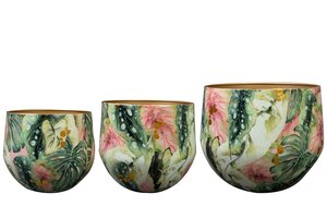 Pot Monstera mystery D28 H25 - afbeelding 2