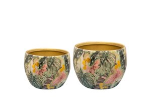 Pot Monstera mystery d7 h6 small - afbeelding 2