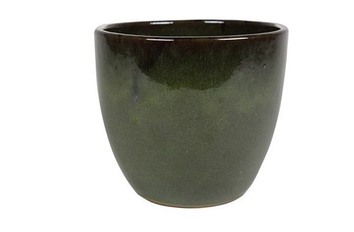 Pot Rico green D22 H20