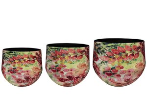 Pot Rose rouge D24 H21 - afbeelding 2