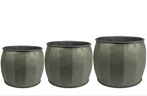 Pot S3 Mikan thyme D48 H34