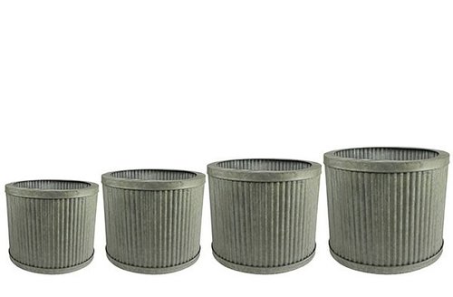 Pot S4 Mart thyme D46 H36