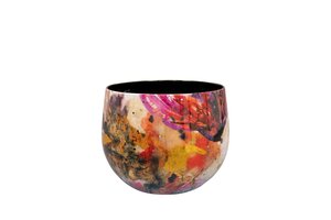 Pot Sweet magnolia D17 H14